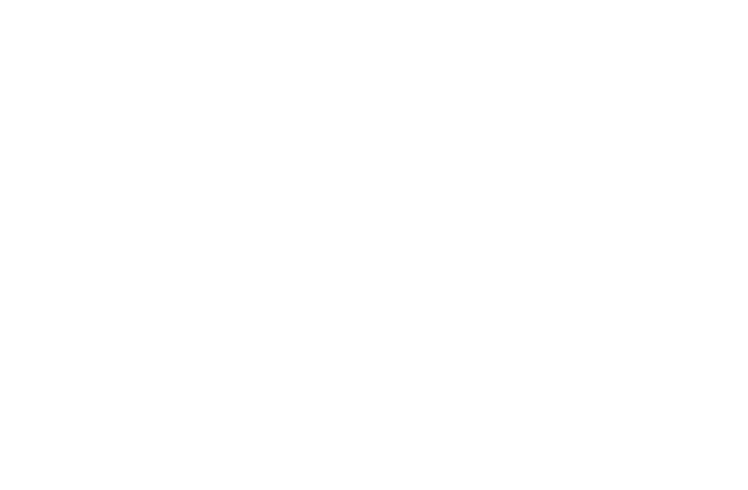 Adler Express Transport